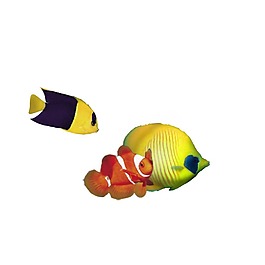海洋生物鱼类png元素