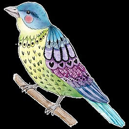 彩绘可爱的小鸟png透明素材