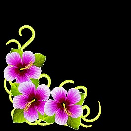 手绘紫色扶桑花png透明素材