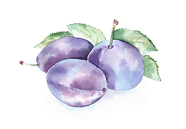 紫色水果psd源文件