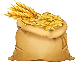 金色麦穗元素