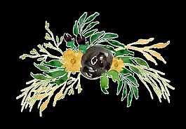 黑黄花从透明装饰素材
