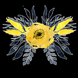 三从黄花透明装饰素材