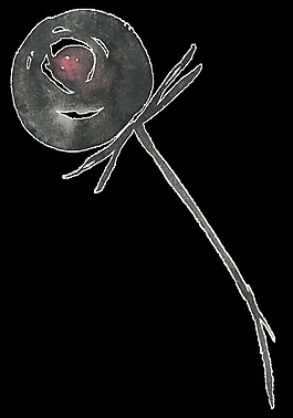 黑色花束透明装饰素材