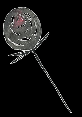 黑墨花束透明装饰素材