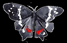 黑墨蝴蝶透明装饰素材