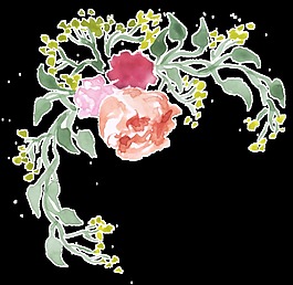 水分花丛透明装饰素材