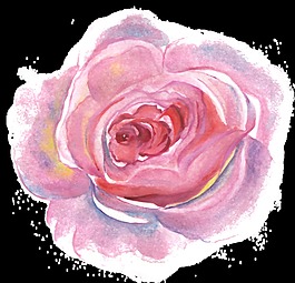 水分花蕊透明装饰素材