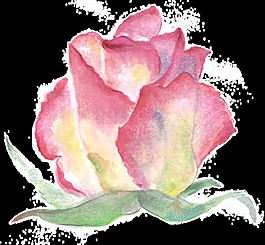 圈粉花束透明装饰素材