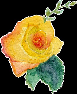 花店装饰花卉透明素材