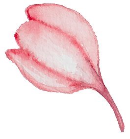 水粉花蕊矢量素材