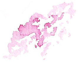 粉嫩花蕊矢量素材