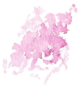 脆嫩花蕊矢量素材