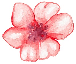 白嫩花蕊矢量素材