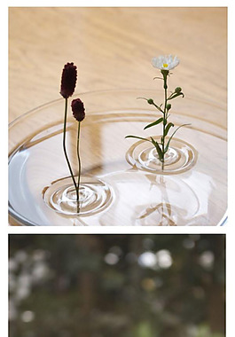 浮在水面上的花瓶