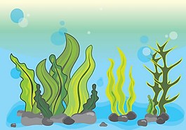 海藻插图场景矢量