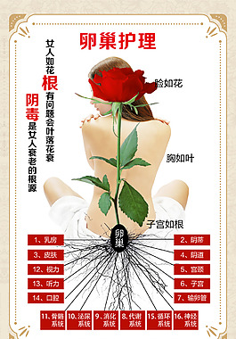 卵巢护理海报疗效型养生卵巢保养图片卵巢保养坦复安网页素材减肥丰胸