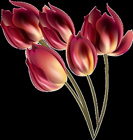 赤红花束透明装饰素材