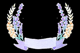 花卉缎带透明装饰素材