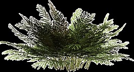 黑墨草丛透明装饰素材