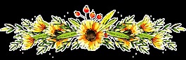 金黄花从透明装饰素材