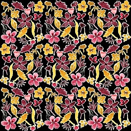 花朵图腾透明背景素材