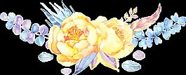 蓝黄花从透明装饰素材