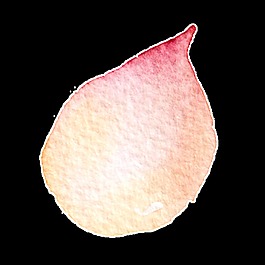 椭圆形花瓣透明装饰素材