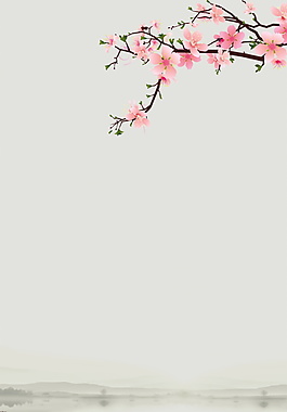 中国风花朵海报背景