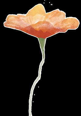 宝莲灯花蕊透明装饰素材