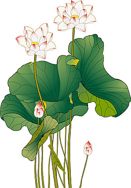 手绘荷花图案元素