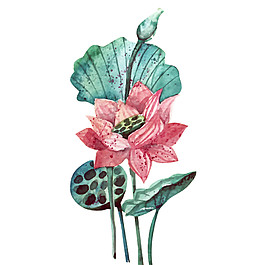 水彩荷花图案元素