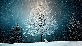 雪夜风景图片 雪夜风景素材 雪夜风景模板免费下载 六图网