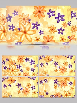 黄花壁纸高清视频素材