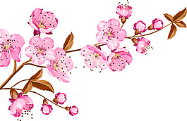 清新风格褐色落叶樱花装饰元素