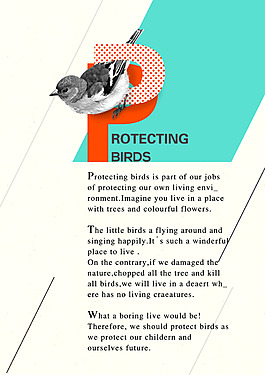 保护鸟类保护环境书籍排版设计小鸟海报