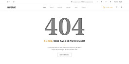 白色的电商商城购物网站之404错误界面