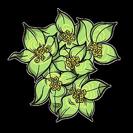 黄色花蕊png透明素材