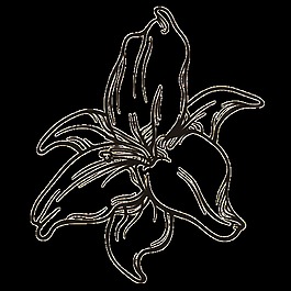 黑白花蕊png透明素材