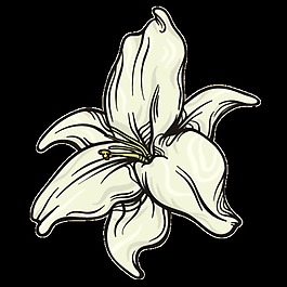 牛奶花蕊png透明素材