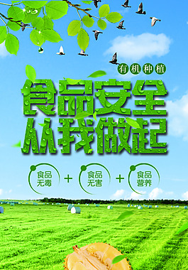 有机水果促销展板