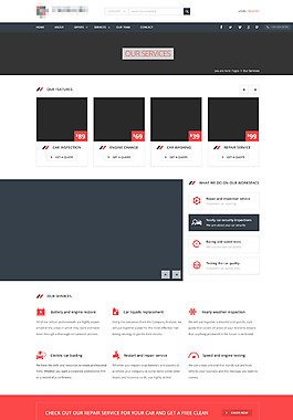 精美的电商购物网站模板之我们的服务