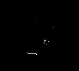 黑色冬至艺术字