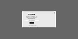 简洁精美的企业电商购物网站模板之弹框