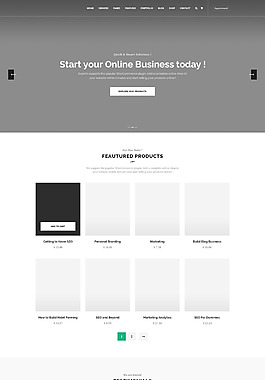 高级网页界面详情页PSD模板