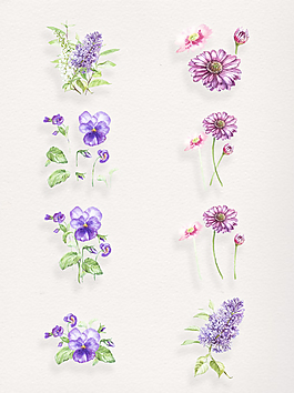 手绘紫色鲜花卡通透明素材合集