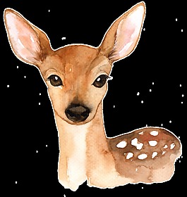 手绘一只可爱的小鹿png透明素材
