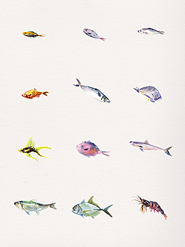 鲳鱼简笔画彩色图片