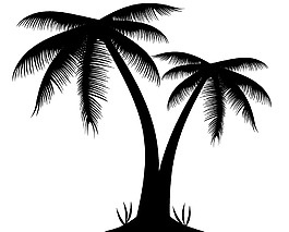 黑色简约椰子树png元素