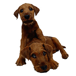 憨厚深棕色大型犬产品实物